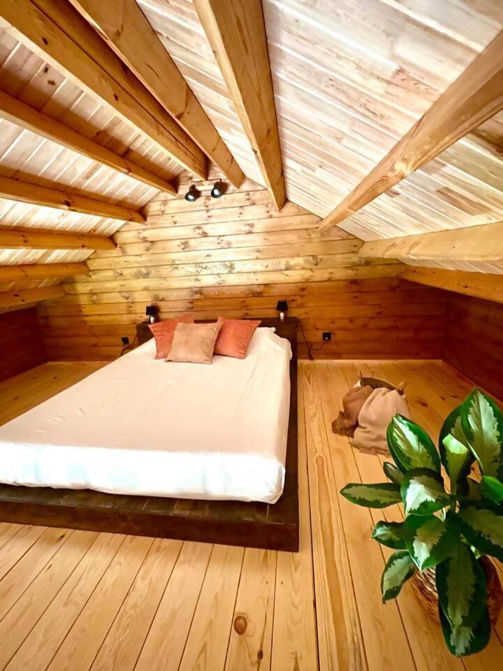 Mountain Eco Shelter 3 Hotel Corujeira de Dentro Eksteriør billede